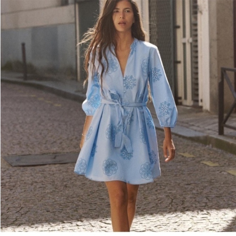 Zara rubberized embroidery poplin dress